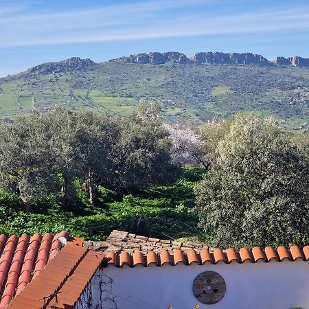 דירות זאפרה La Casa Del Patio מראה חיצוני תמונה