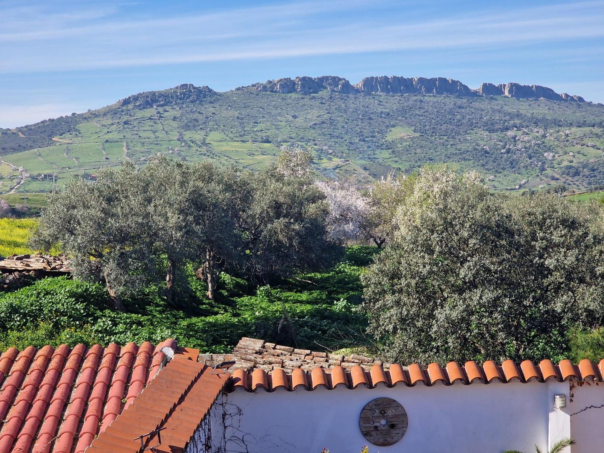 דירות זאפרה La Casa Del Patio מראה חיצוני תמונה